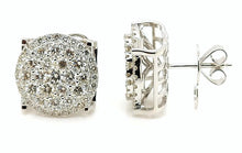 Load image into Gallery viewer, Shine Earrings