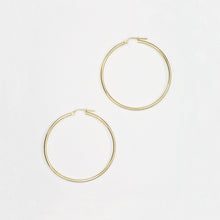 Load image into Gallery viewer, Nitten Hoop Earrings